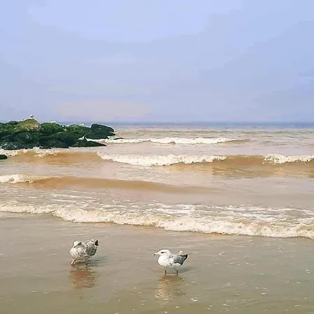 Seasight A1103 With Beautiful Sea Views Apartment *